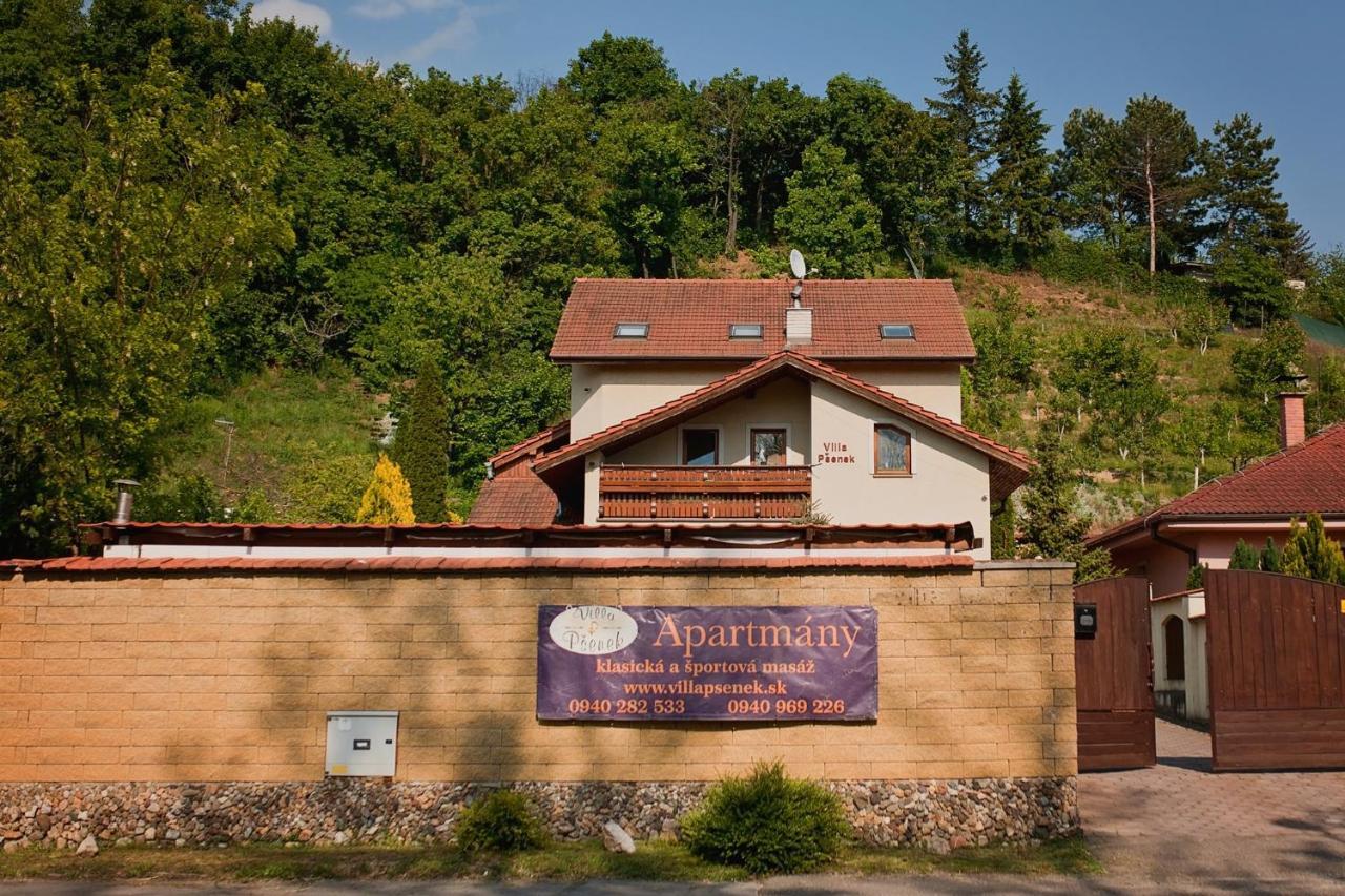 Villa Psenek Banka Exterior foto